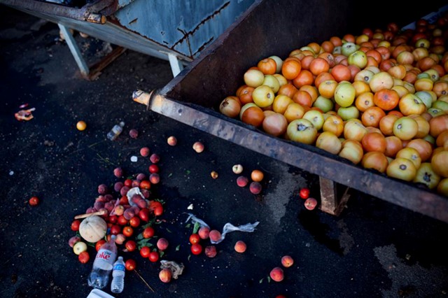 Những quả cà chua không bán được, bị hư và phải bỏ đi tại một chợ nông phẩm Asheville, Bắc Carolina. Khoảng 26% lượng cà chua trồng tại Mỹ không bao giờ đến được tay người tiêu dùng
