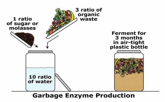 Công thức tạo enzyme rửa chén sinh học