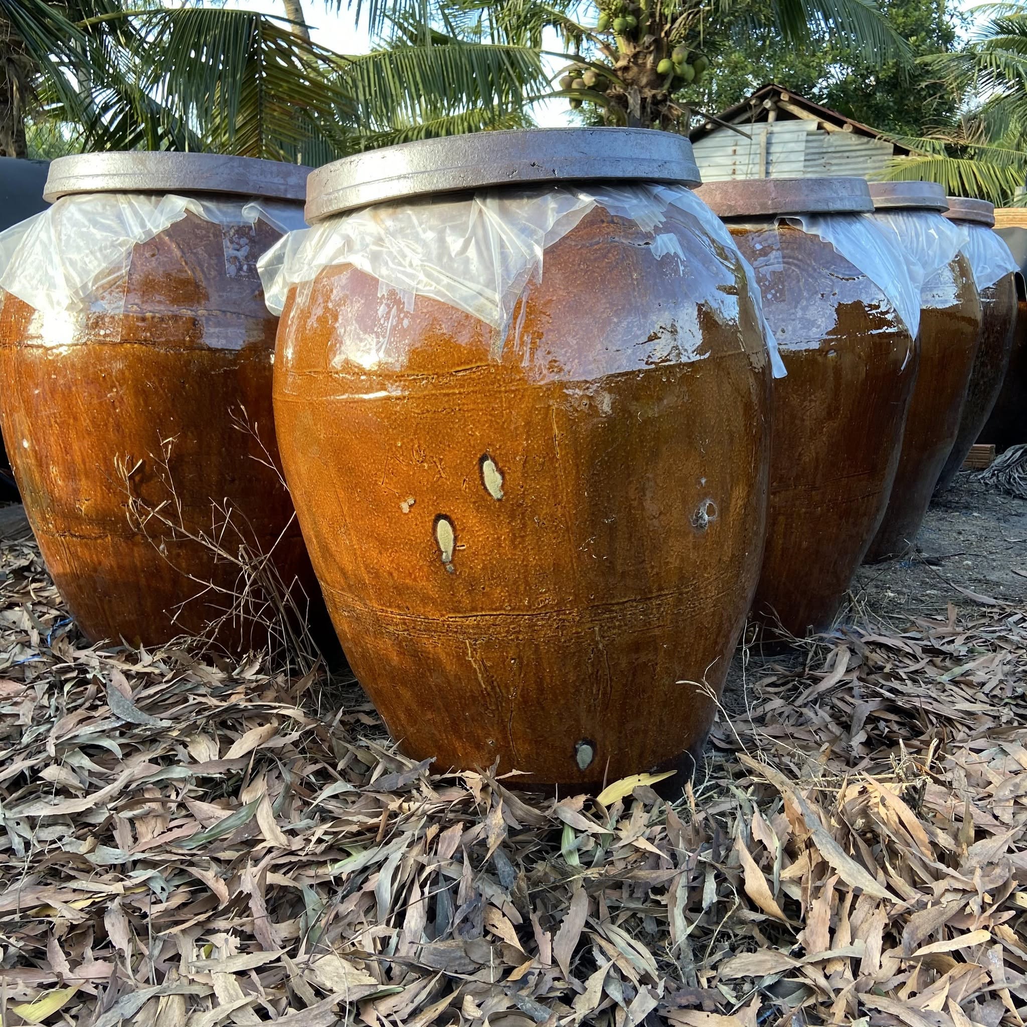 Lu làm nước mắm chân thật Nhân Thuỳ