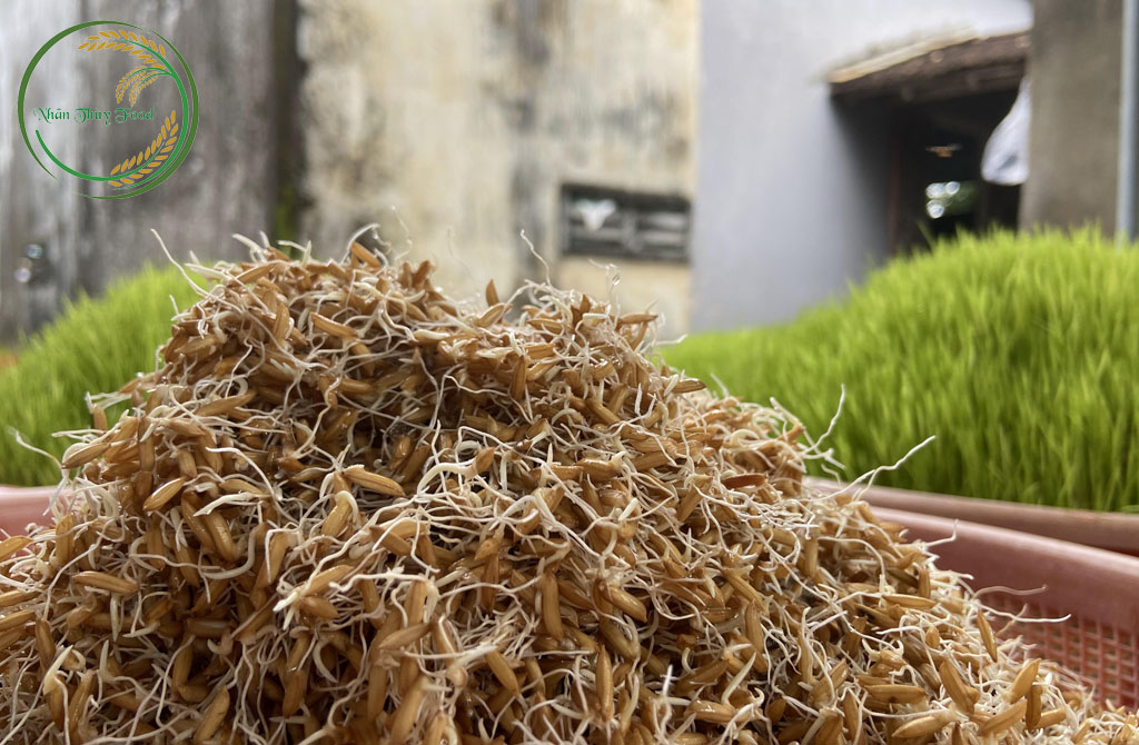 Quy trình sản xuất mạch nha và đường khác nhau